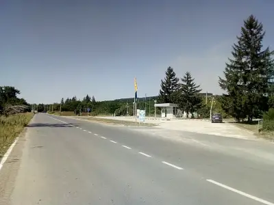 3107 - Криводол