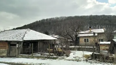 Джамия Сваленик