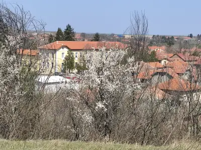 СУ "д-р Петър Берон"