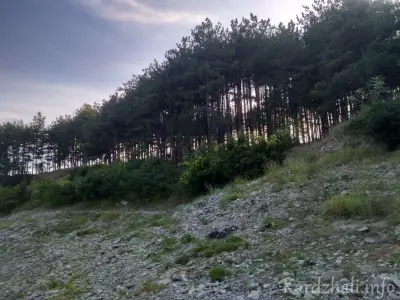 Кърджали Инфо