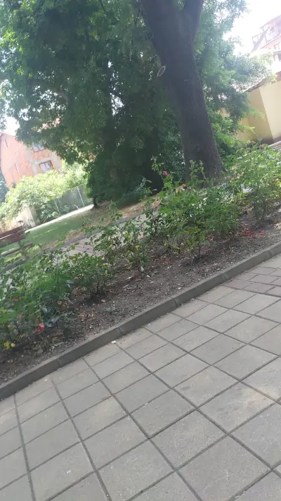 Парк пред СПА хотел