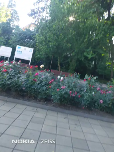 Парк пред СПА хотел
