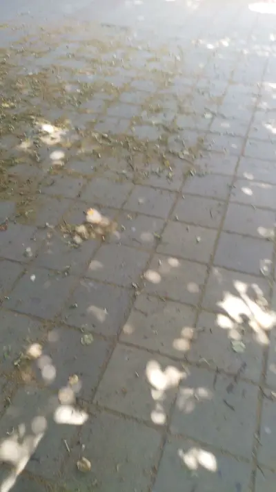 Парк пред СПА хотел
