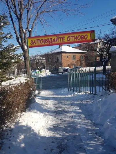 Sunny Garden