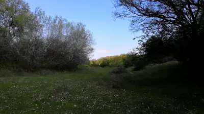Първа поляна