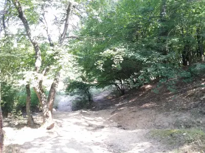 Пътеките