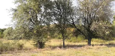 Трите Круши