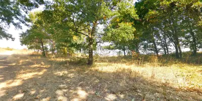 Гробищен парк - Долно Войводино