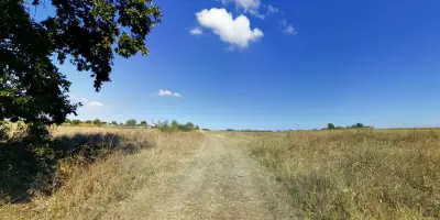 Гробищен парк - Долно Войводино