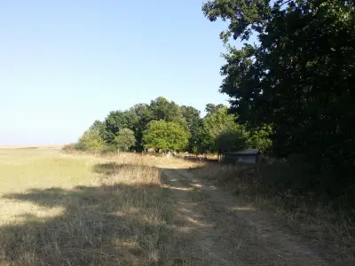 Гробищен парк - Долно Войводино