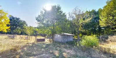 Гробищен парк - Долно Войводино