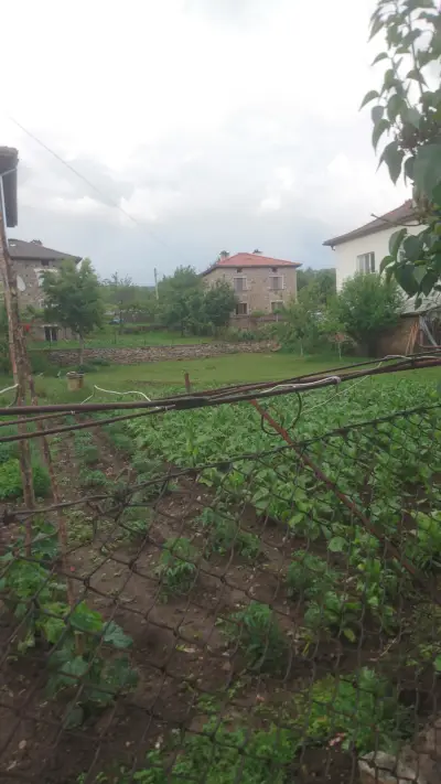 Джамия Годешево