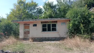Заслон Пинко