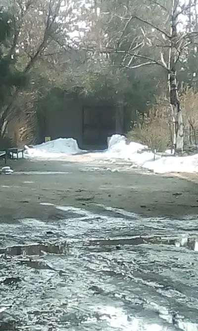 Гробище