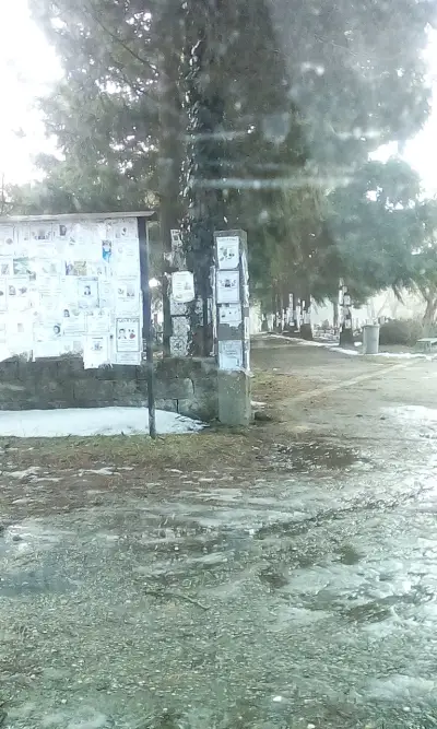 Гробище