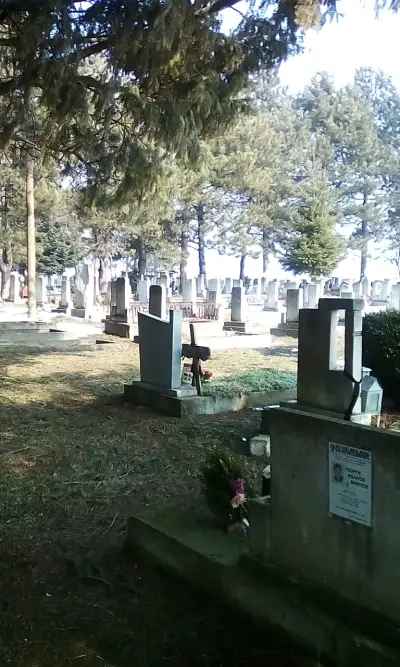 Гробище