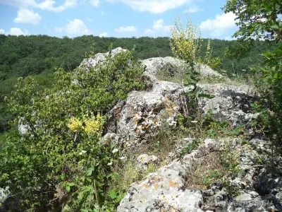 Пещери Горна и Долна капладжа