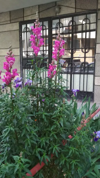 ЗакачАни