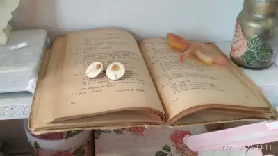 Светлинка