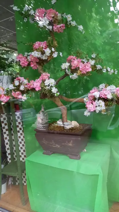 Цветарница "Галина"