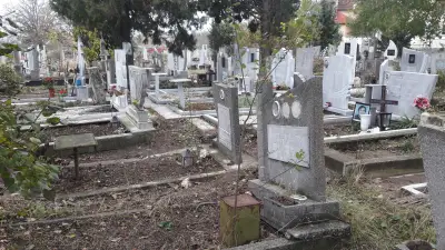 Гробищен парк Виница