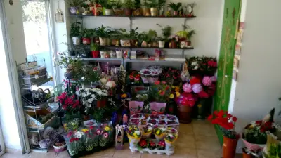 Магазин за цветя "Сандериана"