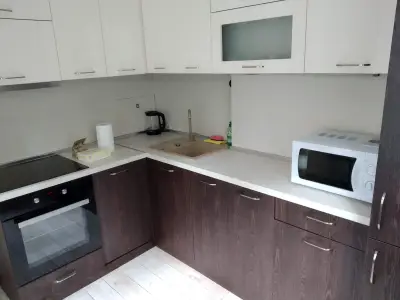 Central Apartment