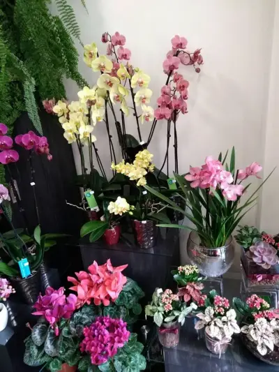 Бутик за цветя Flowers Design