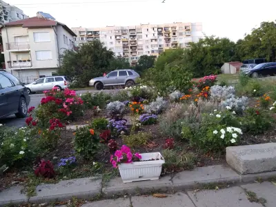 Пи Маркет