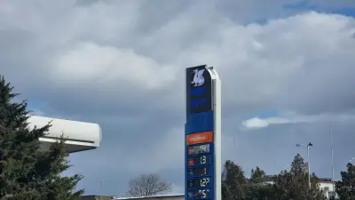 Nik Oil