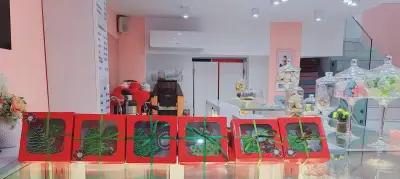Фифона Кейк