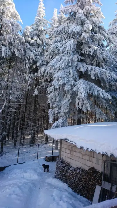 Семеен хотел Момина сълза