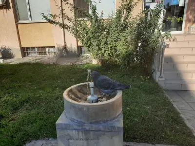 ВОДОСНАБДЯВАНЕ И КАНАЛИЗАЦИЯ - ВИДИН