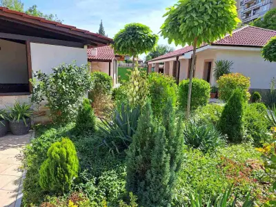 Stariya oreh pool & garden