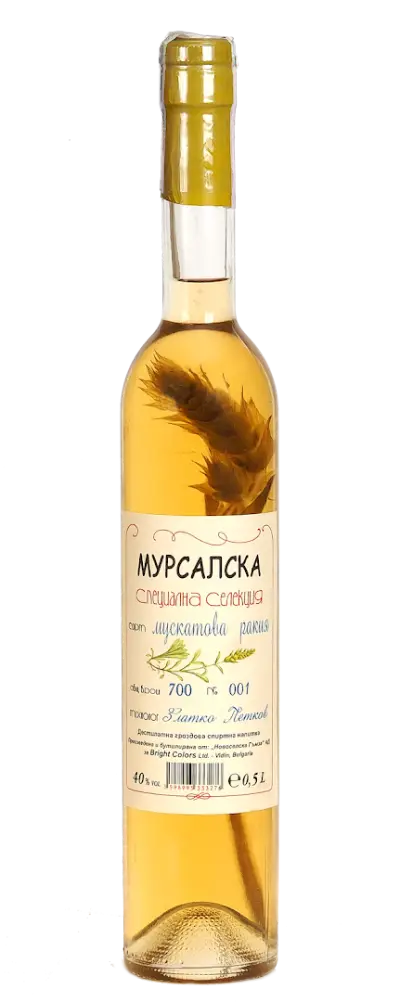 Видинска Гъмза