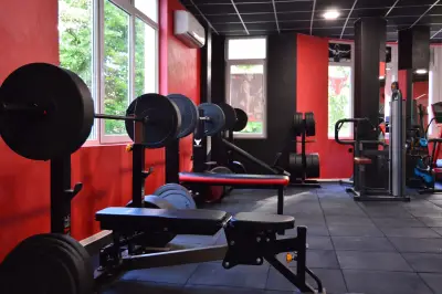Bull Gym