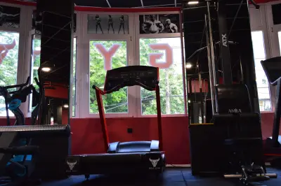 Bull Gym