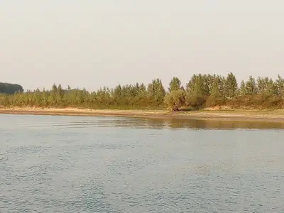 Петрол Видин