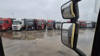 Съни Ойл