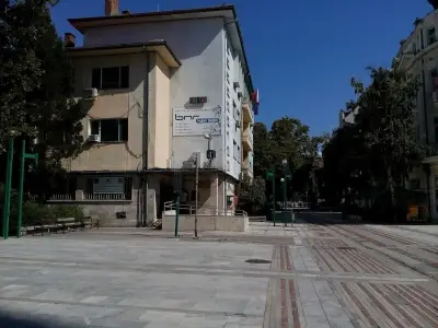 Радио “Видин”