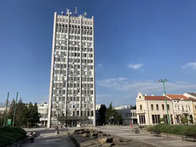 Община Видин