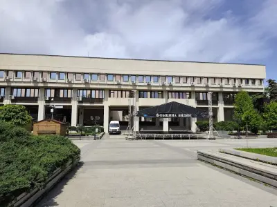 Община Видин