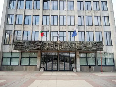 Община Видин