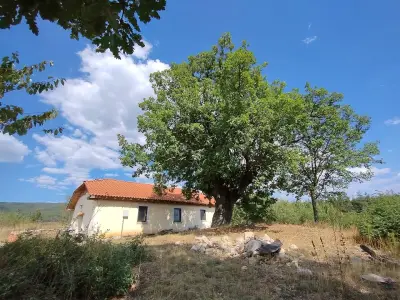 Храм "Св. Неделя"