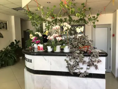 Хотел Фанти