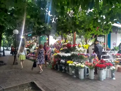 Магазин за цветя - Магнолия