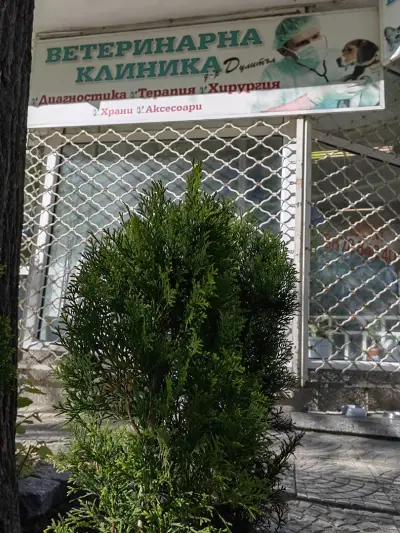 Ветеринарна клиника "Д-р Дулитъл"