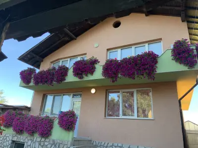 Lili's Flowers