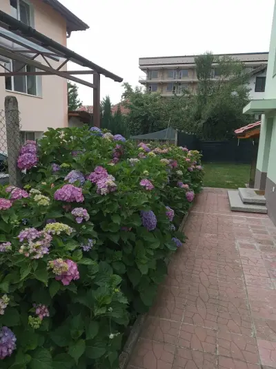 Simada Green guest house