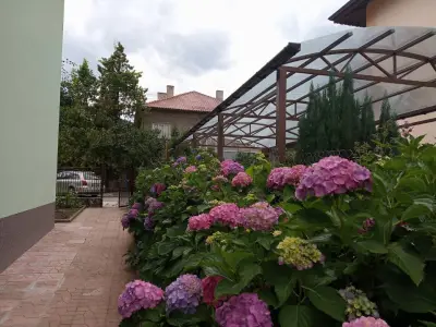 Simada Green guest house